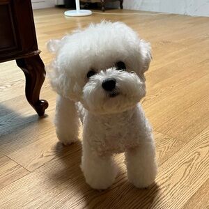 Meet your Posher, Kay